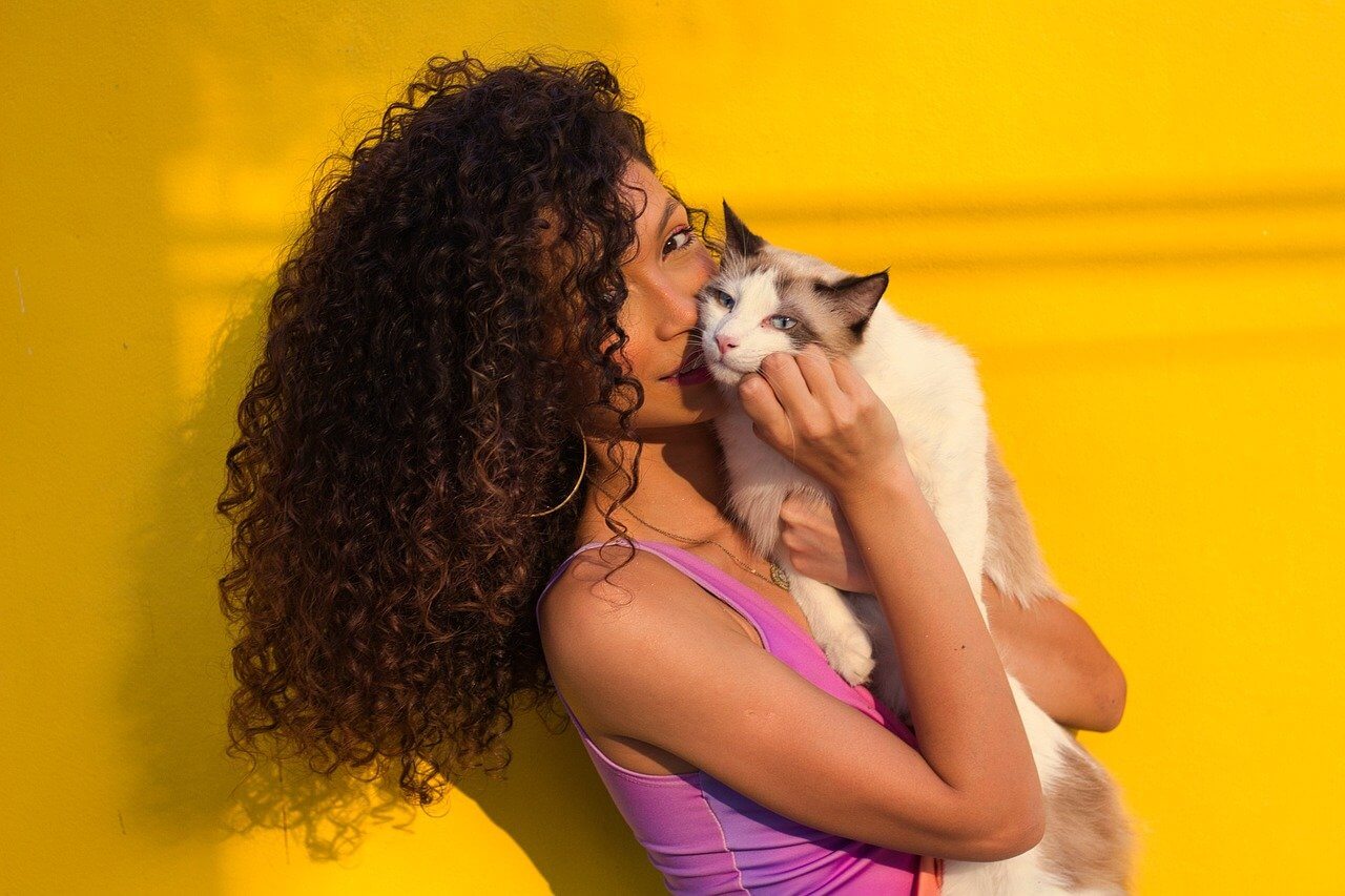 Introduce a new pet to your home