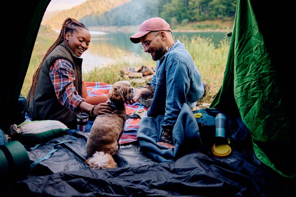 Puppy Training