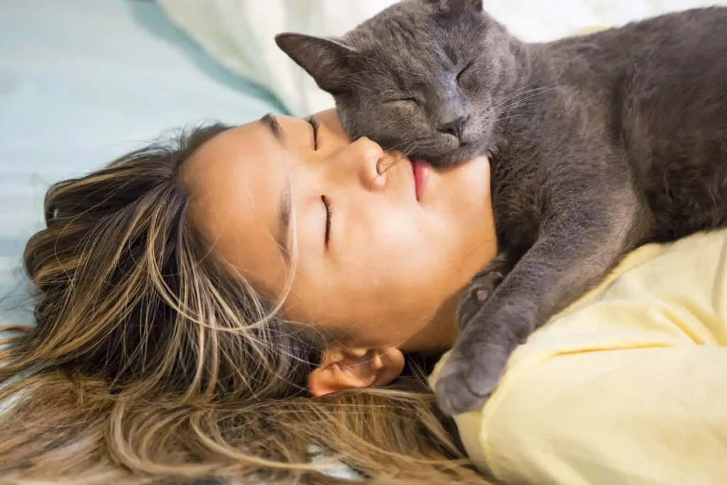 12 Fascinating Cat Sleeping Positions and Their Meanings 22 Cat Sleeping Positions