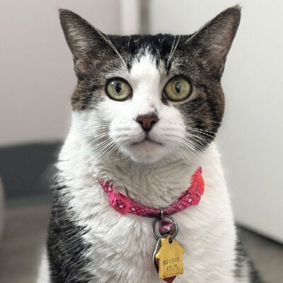 beth-blog-nov2025-lucinda-h194622 Lucinda, H194622