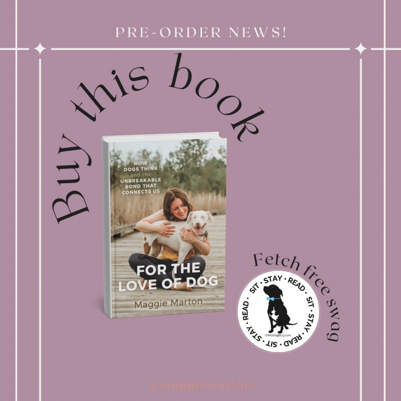 Book launch announcement graphic