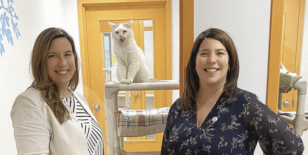 Proanima and Mondou join forces for animal welfare 20 Capture decran le 2025 05 05 a 08.38.03 e1746449464281