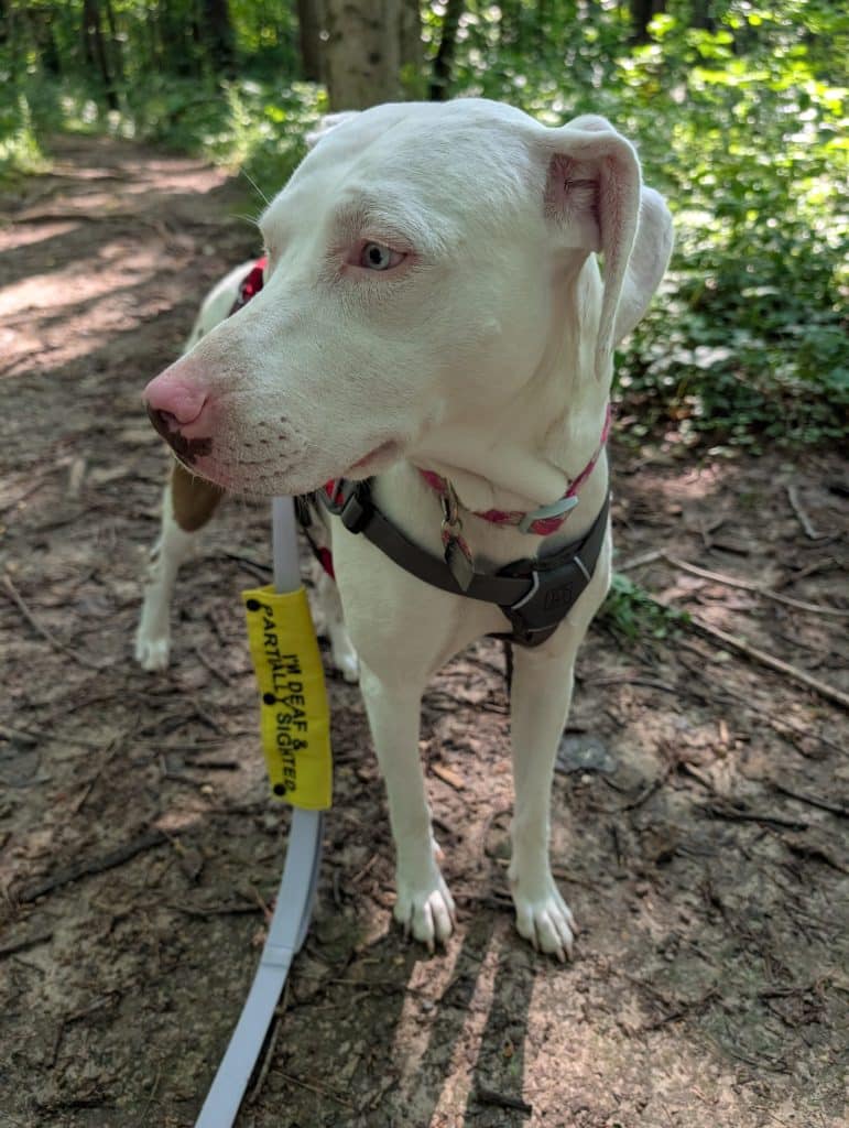 PXL 20250713 143136118