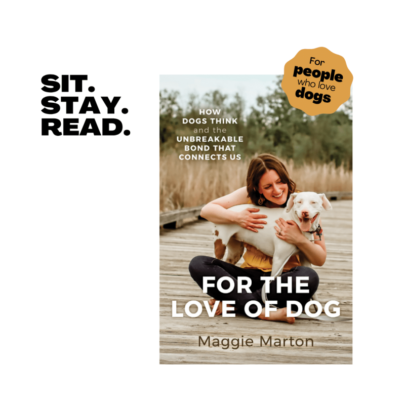 Pennys Quirks Oh My Dog