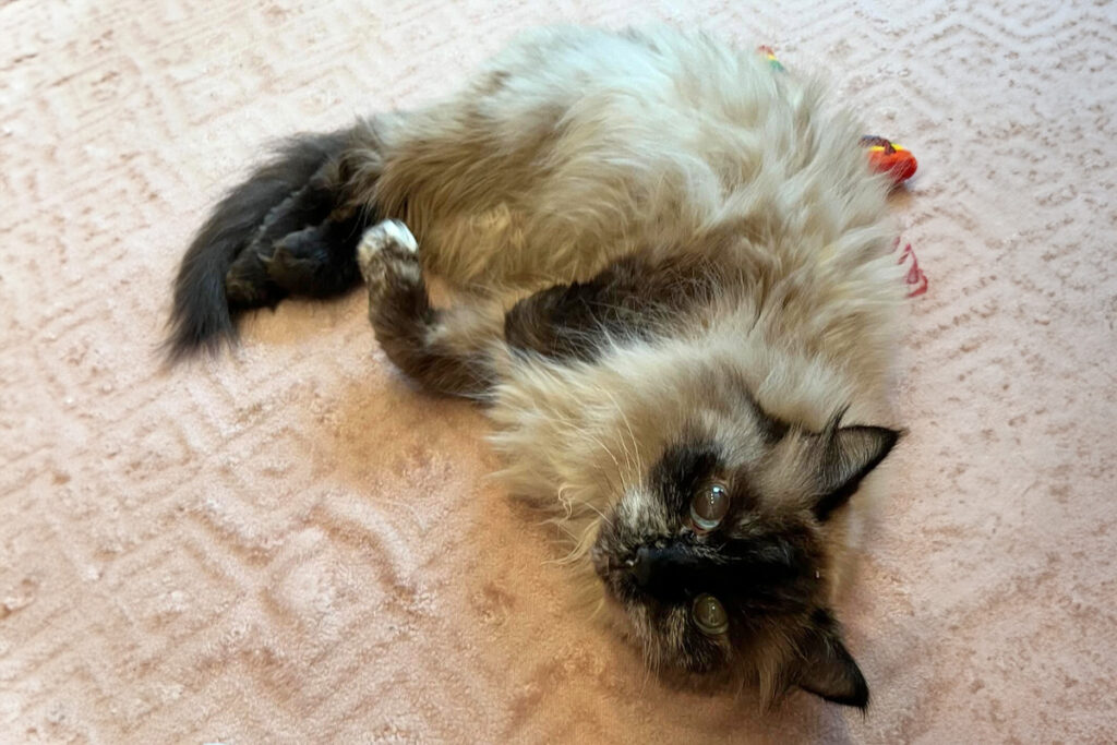 feature beth blog nov2025 gramma winnie