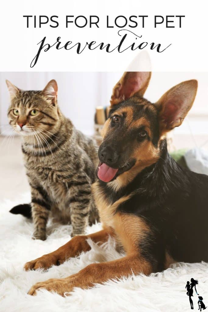 tips for lost pet prevention
